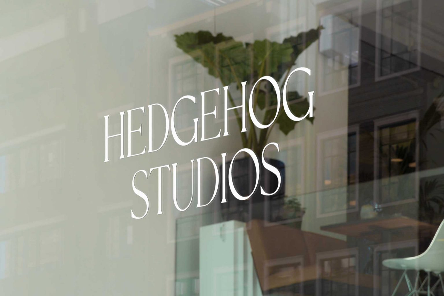 Hedgehog Studios' logo on a window